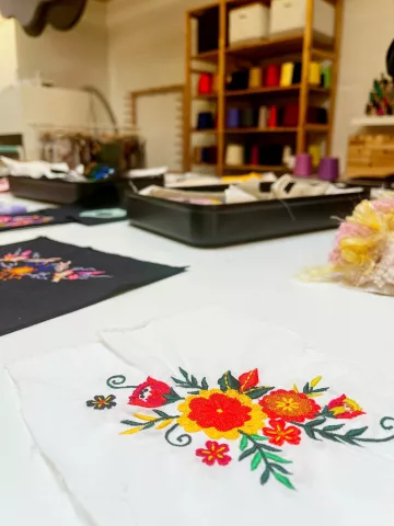 InnoLabsSTEM fortalece capacidades en diseño experimental y metodologías activas con aliados europeos
